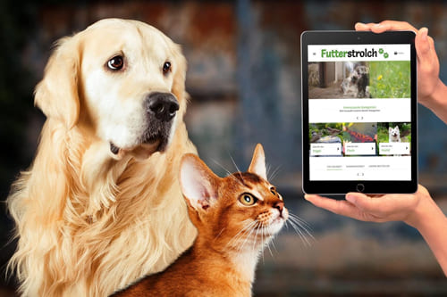 Tablet mit Futterstrolch Onlineshop neben Hund und Katze